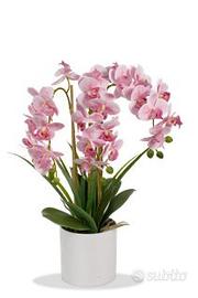 Pianta artificiale Orchidea Rosa cm. 60H