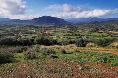 TERRENO AGRICOLO A LOTZORAI.