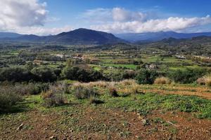 TERRENO AGRICOLO A LOTZORAI.