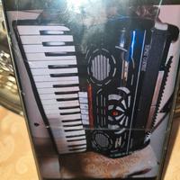 FISARMONICA PIGINI 41/120