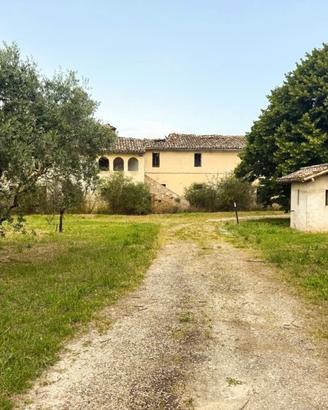 Spazio, verde e libertà: riprenditi il tuo tempo