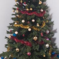 Albero di Natale Ecologico