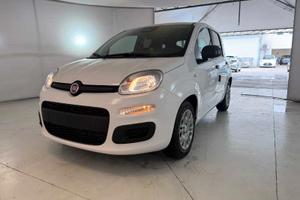 FIAT Pandina Van Serie 0 Pandina Van Po N254429018