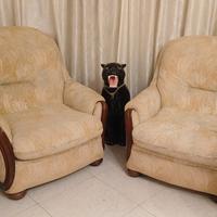 Poltroncine da salotto