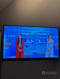 Televisore 24 pollici