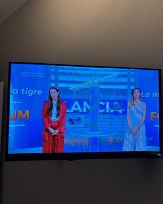 Televisore 24 pollici