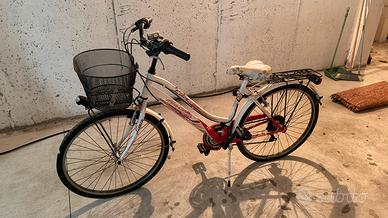 Bicicletta da donna con cestino e portapacchi