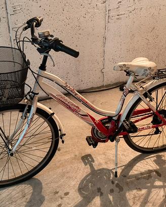 Bicicletta da donna con cestino e portapacchi