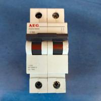 Interruttore automatico AEG Elfa E92X C50
