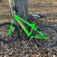 Bici da ragazzo