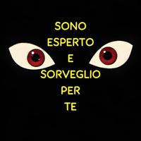 Sorveglio Custodisco Controllo Perugia + Provincia