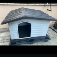 cuccia per cane