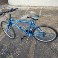 Bici MTB