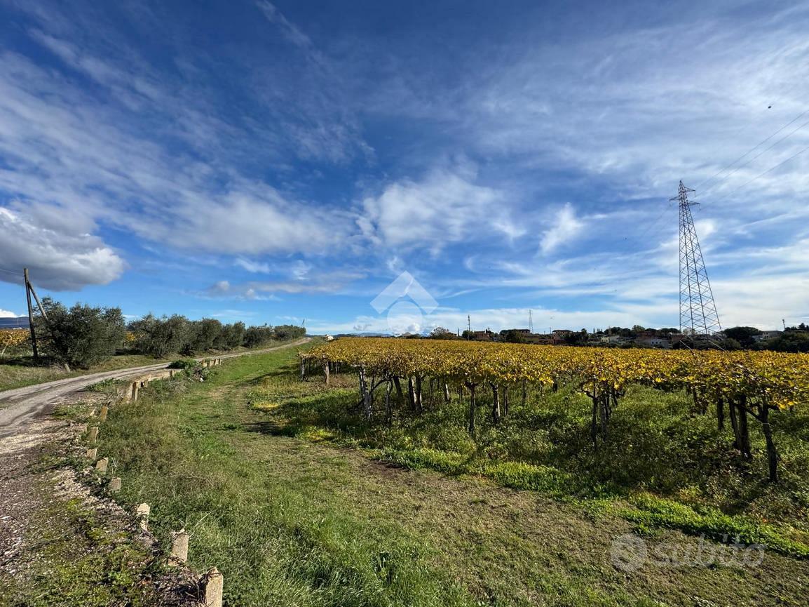 TER. AGRICOLO A ARDEA - Altro
