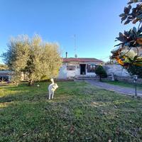 CASA INDIPENDENTE A FALERIA