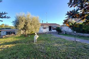 CASA INDIPENDENTE A FALERIA