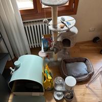 Accessori per gatto
