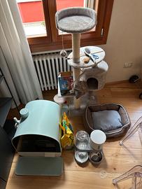 Accessori per gatto