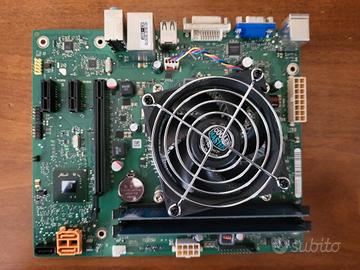 Scheda madre Fujitsu D3120-A10 GS1