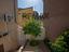 Immagine 11