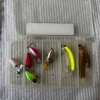 10 esche da Pesca