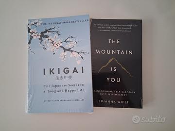 The Mountain Is You/Ikigai