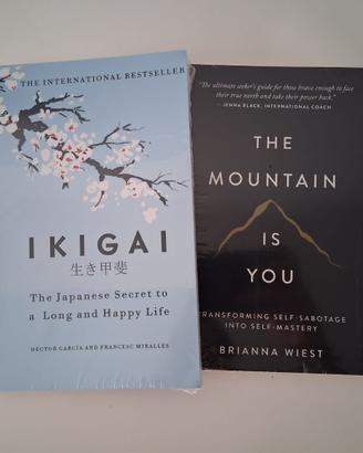 The Mountain Is You/Ikigai