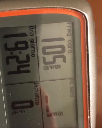 Garmin forerunner 310xt