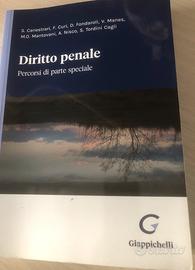 Diritto Penale Percorsi parte speciale Canestrari