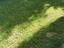 Immagine 10