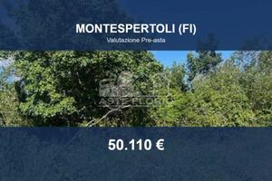 Immobile in asta di 157149 m² a Montespertoli