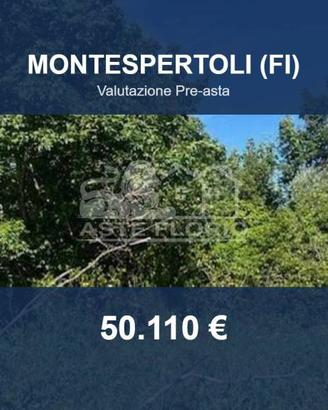 Immobile in asta di 157149 m² a Montespertoli