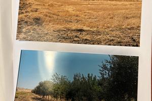 Terreno edificabile destinazione GIOCHI E SPORT