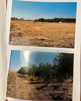 Terreno edificabile destinazione GIOCHI E SPORT