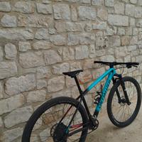 Specialized Epic 29 M