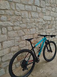 Specialized Epic 29 M