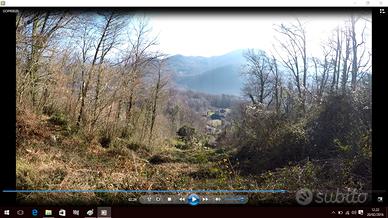 Terreno pascolo arborato , seminativo