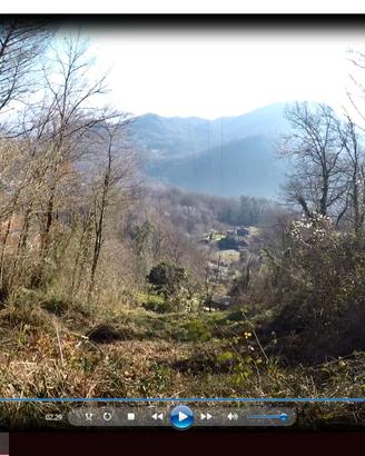 Terreno pascolo arborato , seminativo