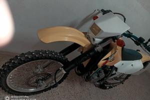 Suzuki DRZ Valenti