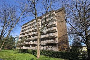 4 LOCALI A NOVATE MILANESE