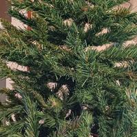 Albero di Natale 230 cm. e serie luminose