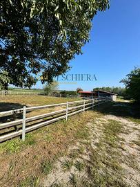 Terreno Agricolo - Volta Mantovana