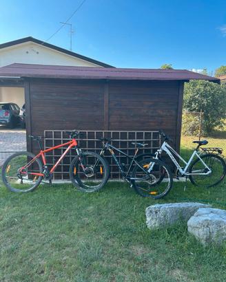 Biciclete