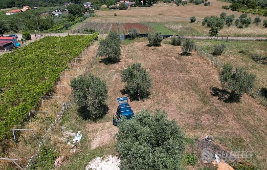 Terreno Agricolo per Allevamento - Vista 4