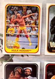 Collezione WWF Merlin 1991 - 124 carte + doppia
