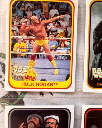 Collezione WWF Merlin 1991 - 124 carte + doppia