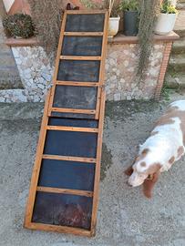 rampa pieghevole per cani in legno 