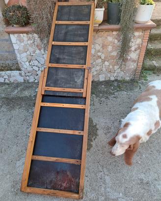 rampa pieghevole per cani in legno 