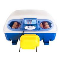 INCUBATRICI PER GALLINE MARCA BOROTTO