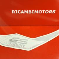 DECALCO ADESIVO SX POST BMW F800GS TROPHY